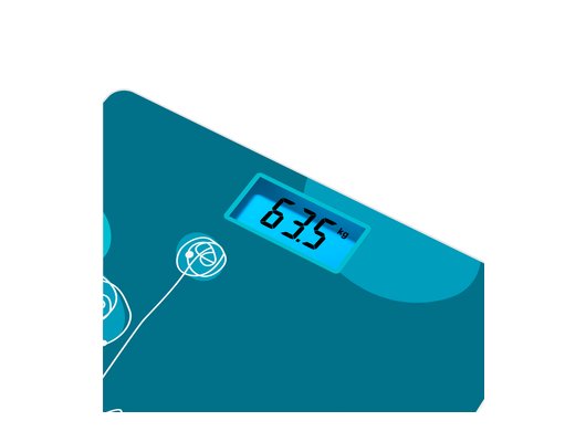 Весы напольные TEFAL PP1533V0